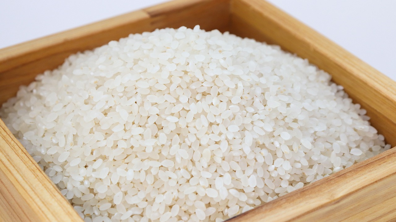 rice, white rice, korea-3997767.jpg